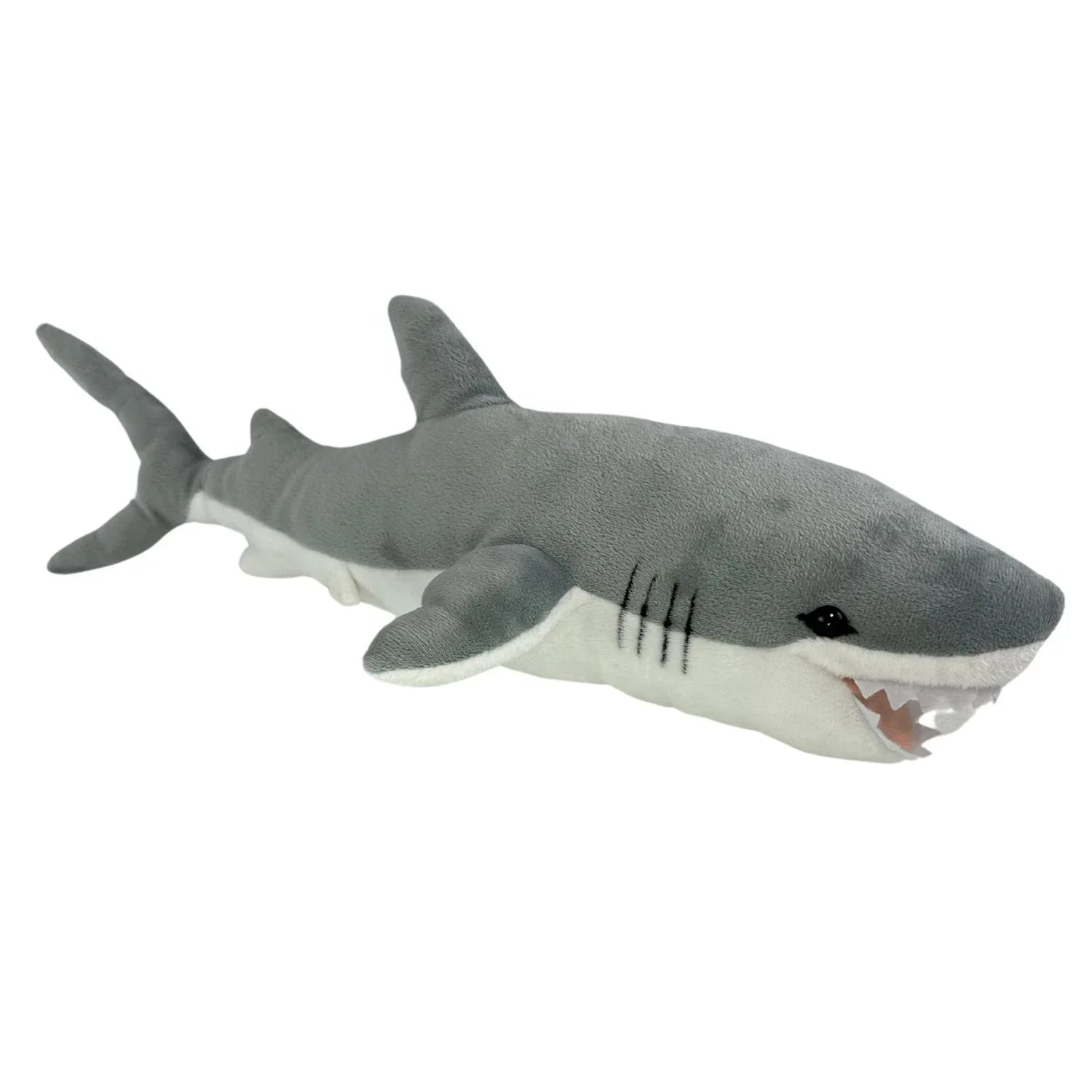 ESSA Sea Creatures