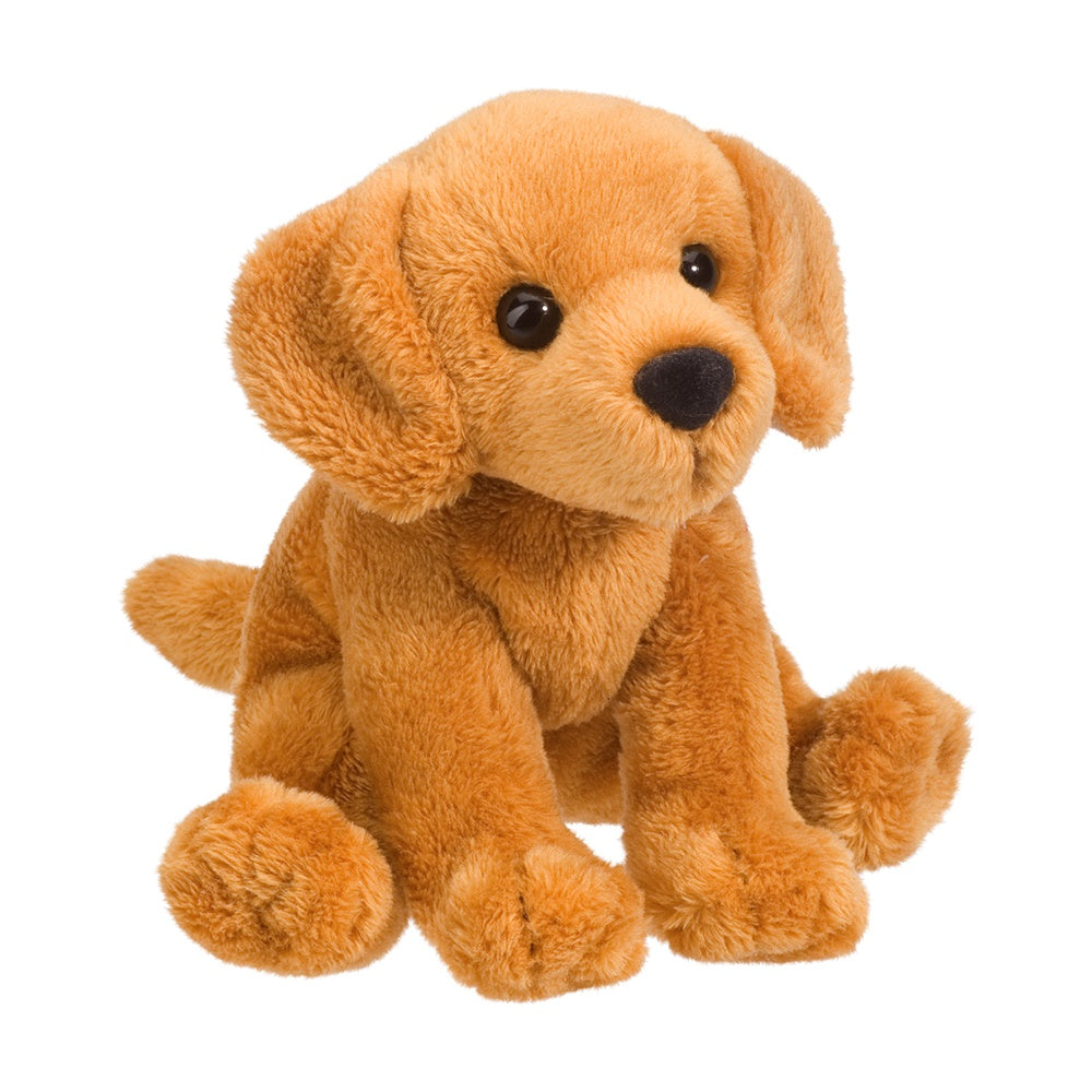 Gracie golden retriever (mini)