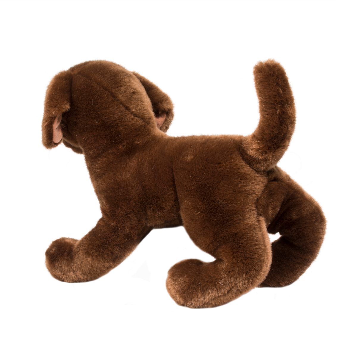 Cocoa Chocolate Lab by Douglas