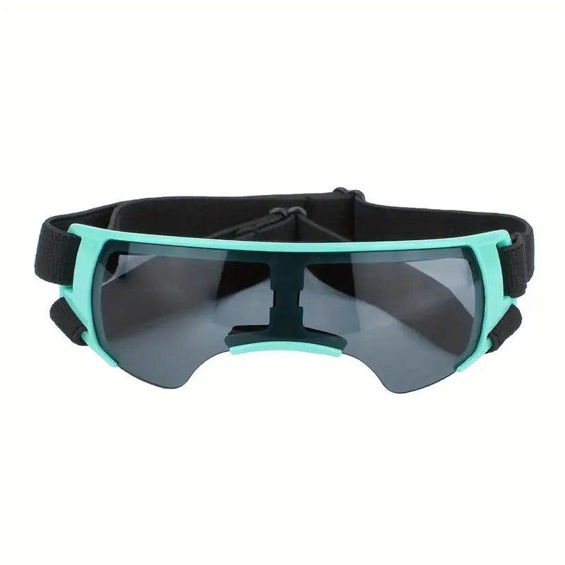 Dog glasses