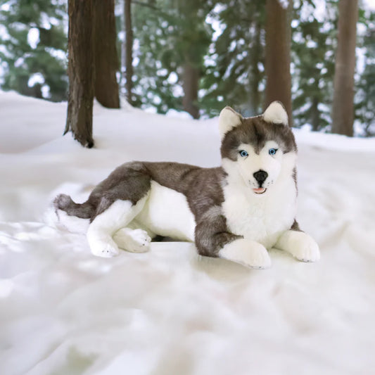 Rocco (Husky - 62cm lying)