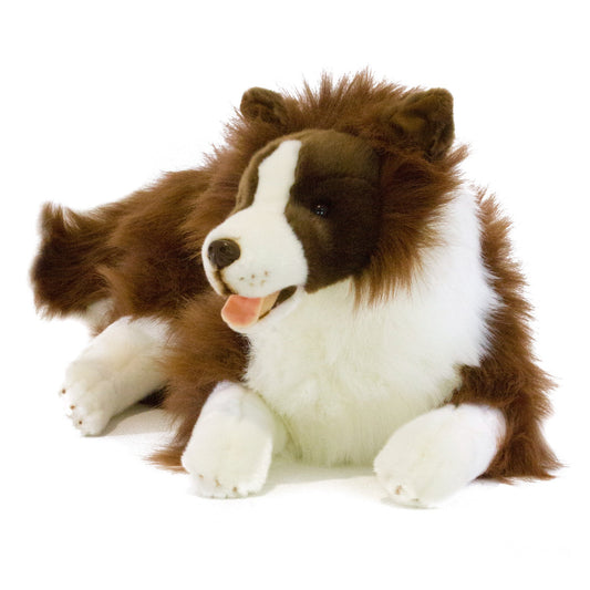 Fudge (Border Collie - 62cm lying, chocolate)