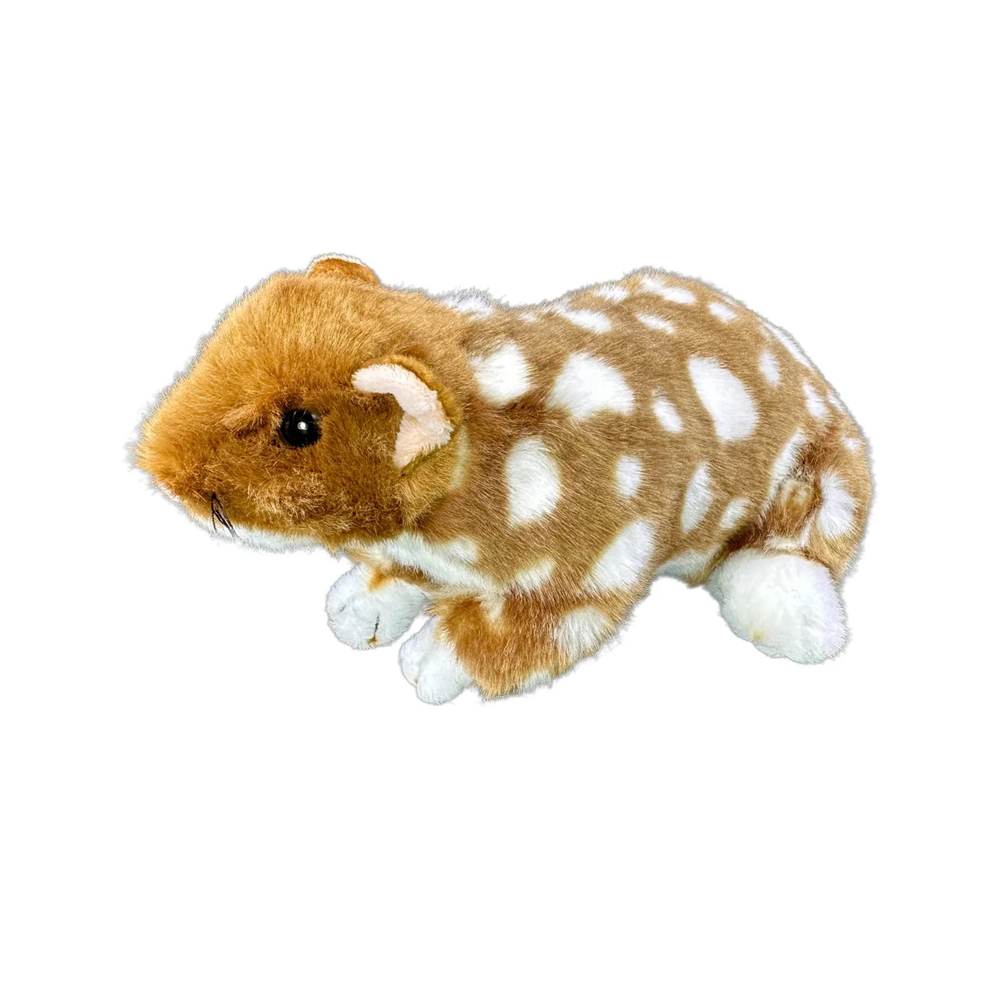 Spotty and Polka (Eastern Quoll - 20cm, black)