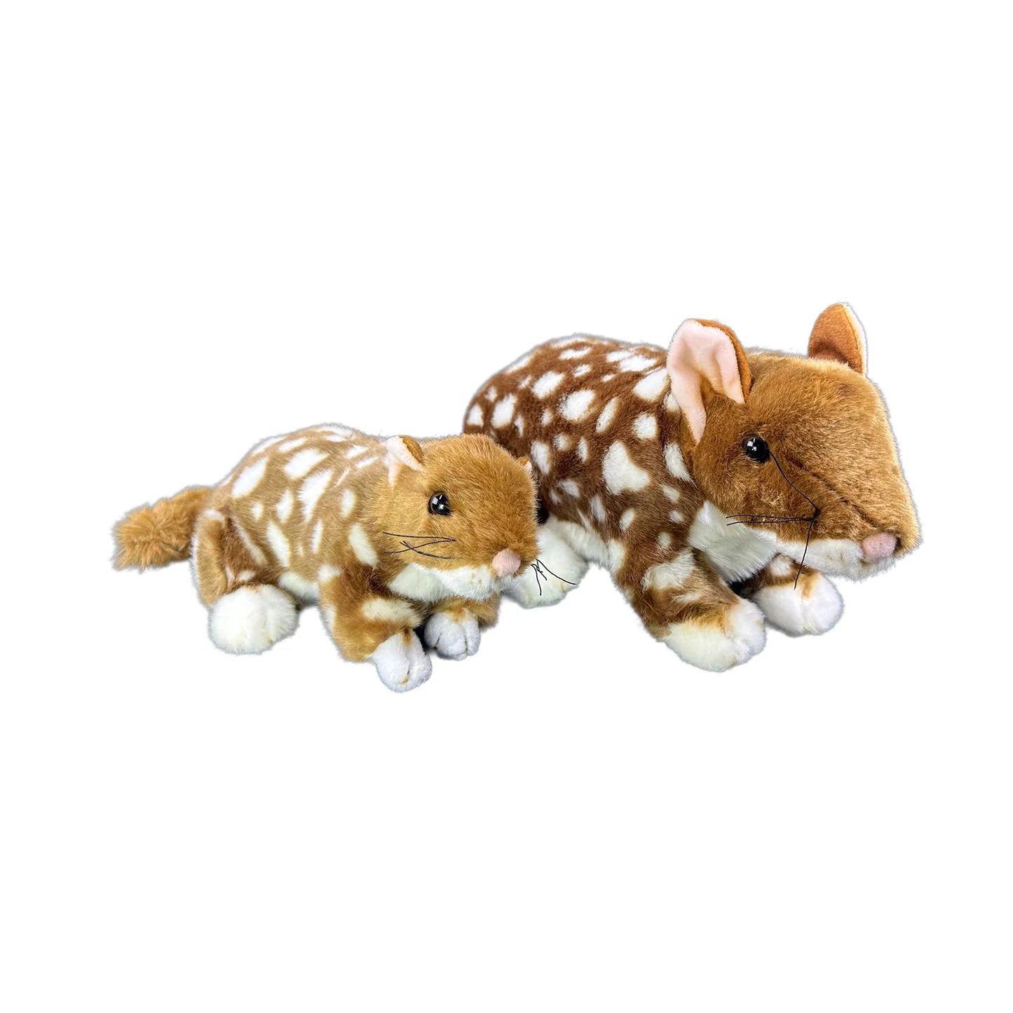 Spotty and Polka (Eastern Quoll - 20cm, black)
