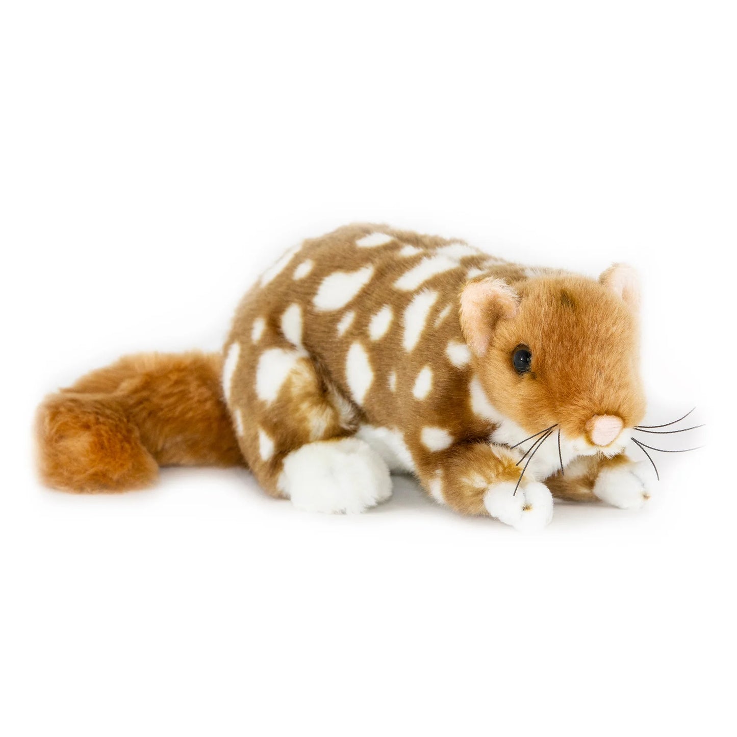 Spotty and Polka (Eastern Quoll - 20cm, black)