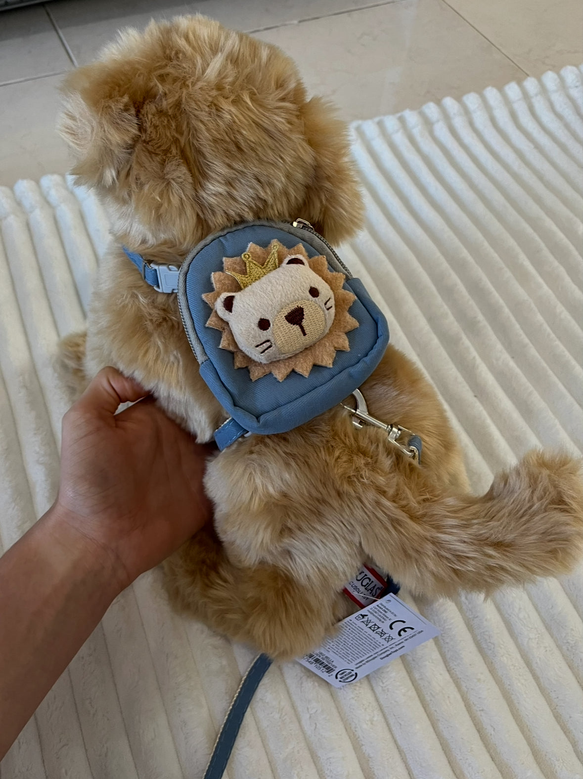 ESSA Backpack