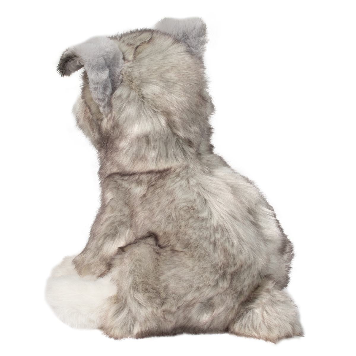 Arnold Schnauzer by Douglas