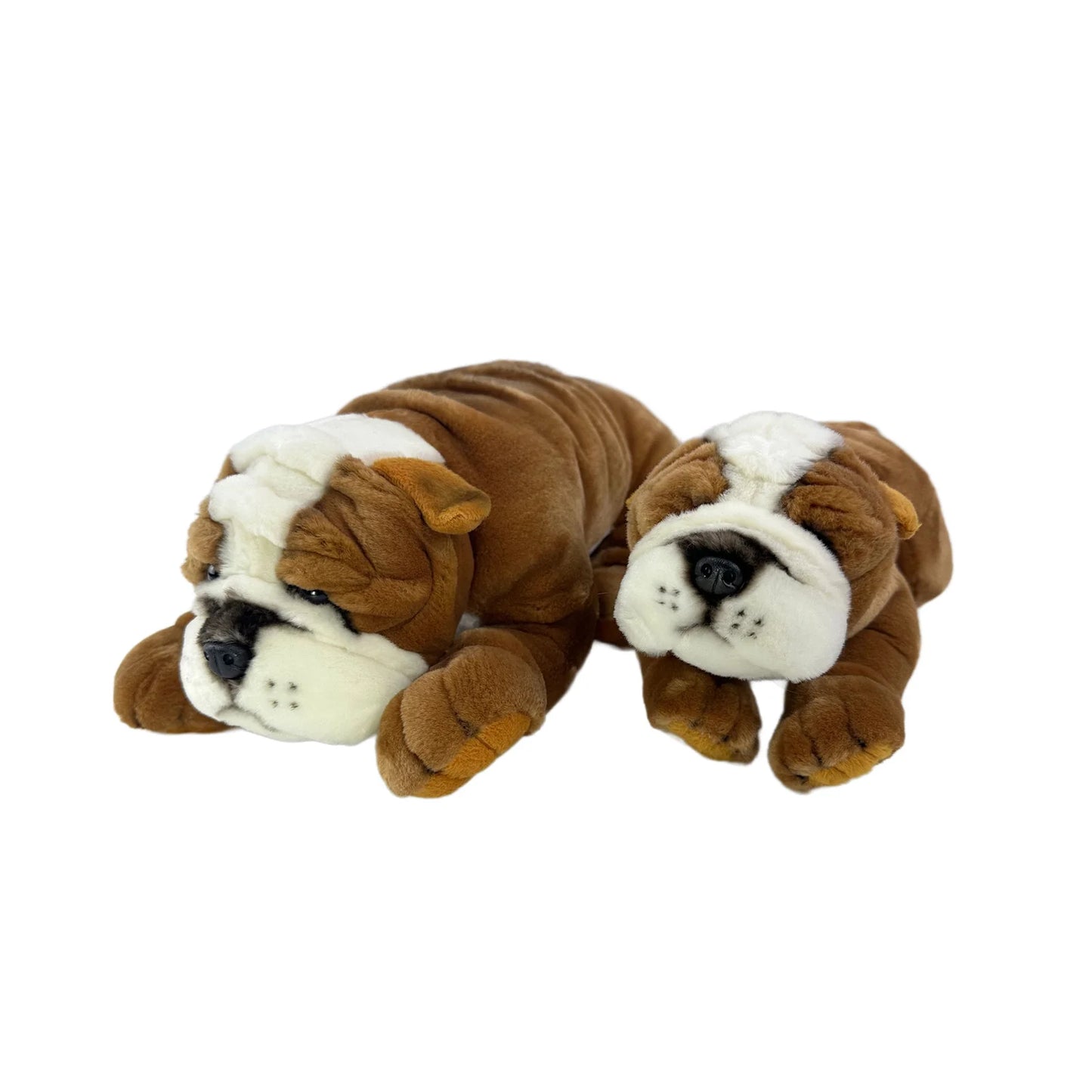Boston (Bulldog - 35cm lying)