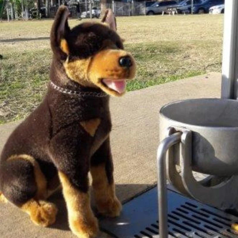 Basil (Kelpie - 28cm sitting)