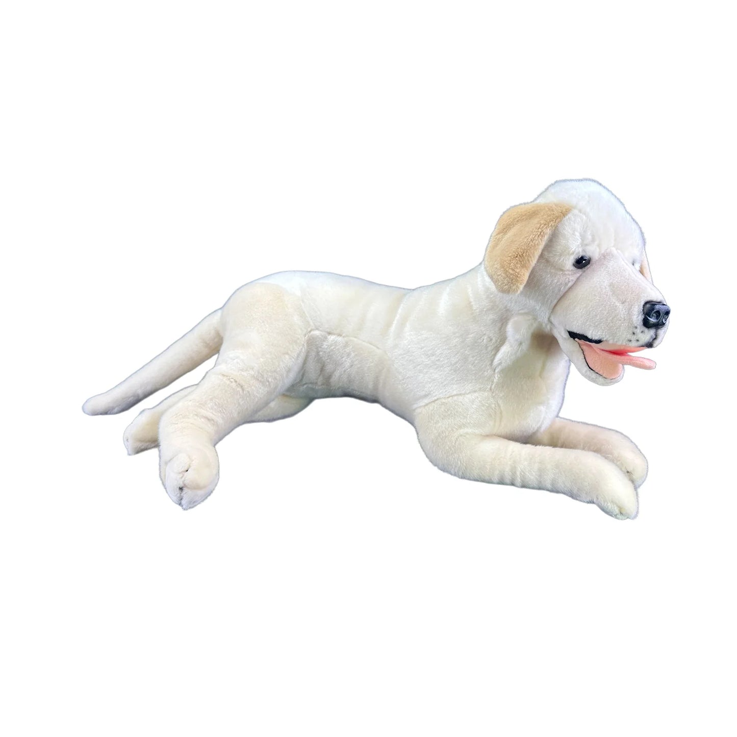 Beau (Labrador - 62cm lying, cream)