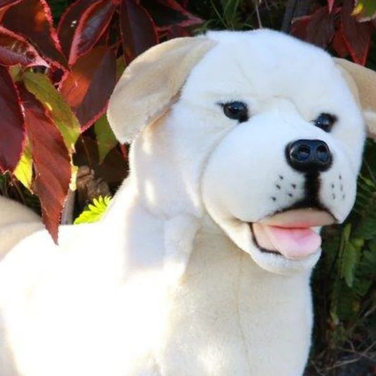 Beau (Labrador - 62cm lying, cream)