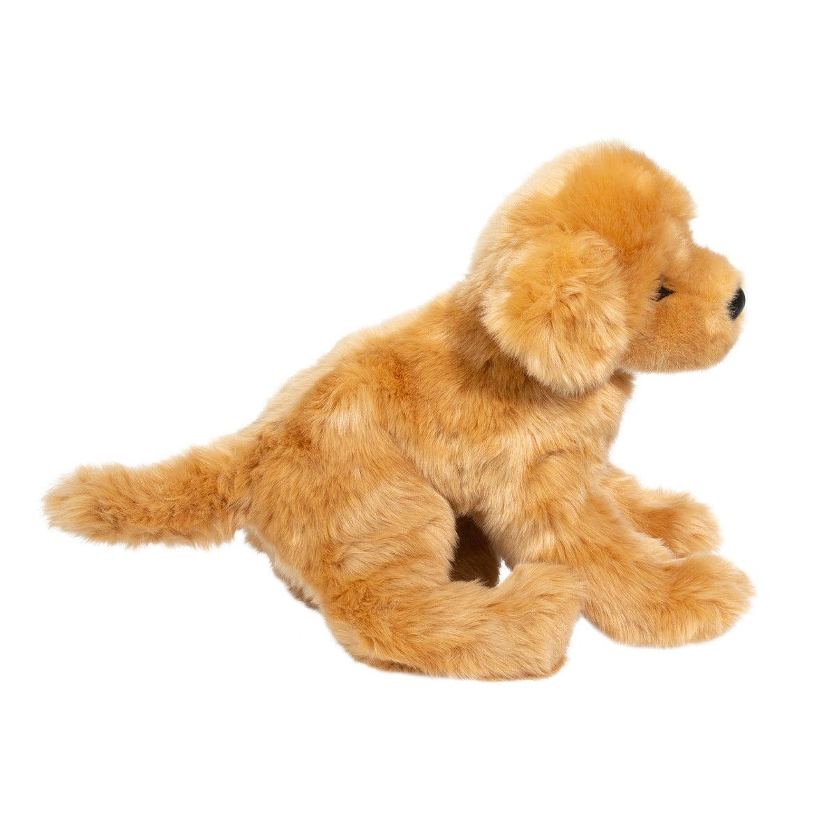 Bella Golden Retriever by Douglas