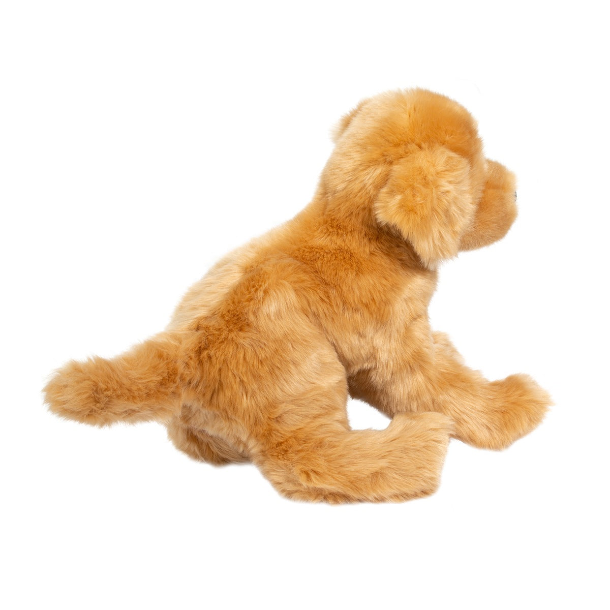 Bella Golden Retriever by Douglas