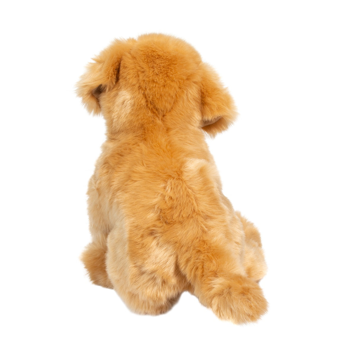 Bella Golden Retriever by Douglas