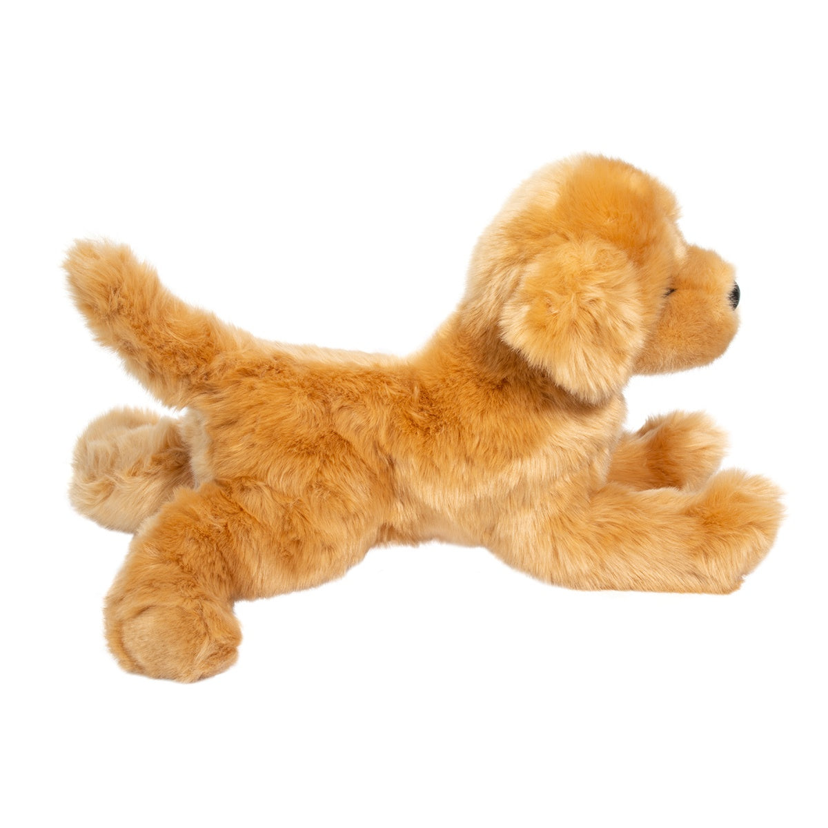 Bella Golden Retriever by Douglas