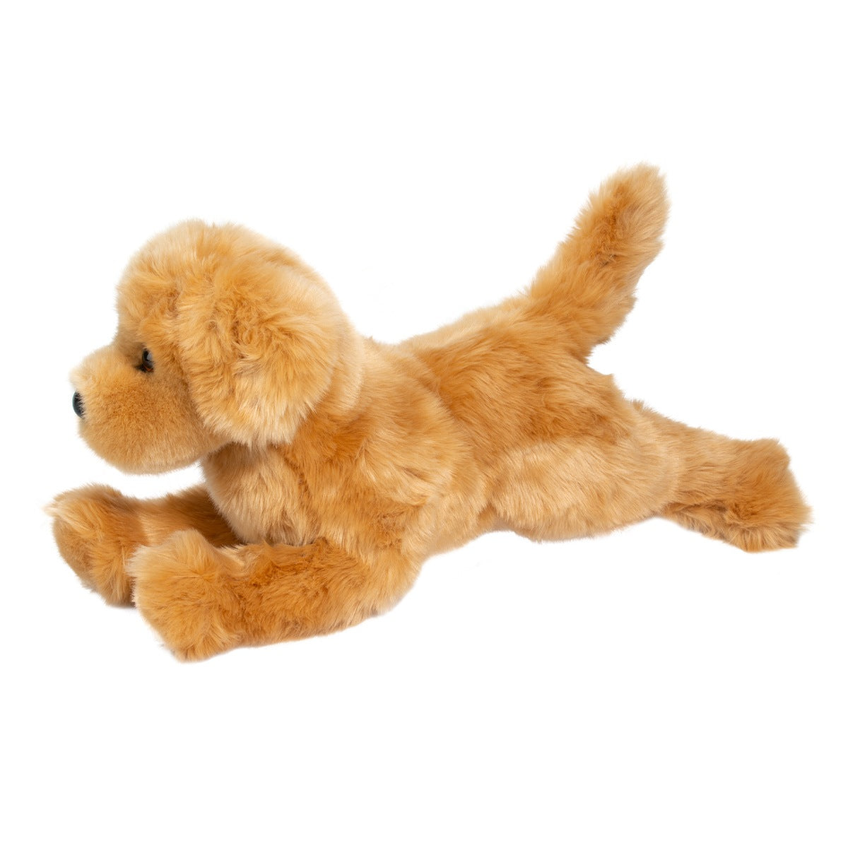 Bella Golden Retriever by Douglas