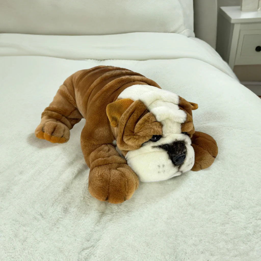 Boston (Bulldog - 35cm lying)