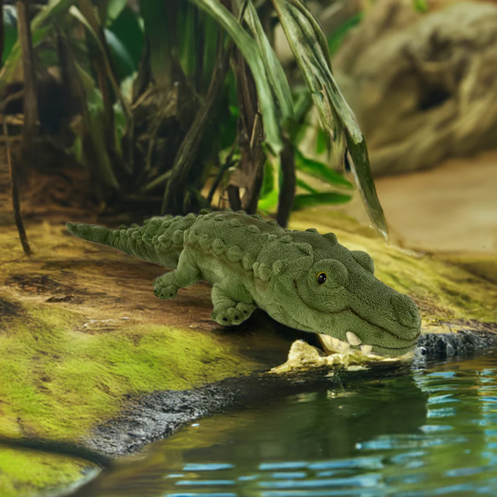Cole (Crocodile - 58cm, green)