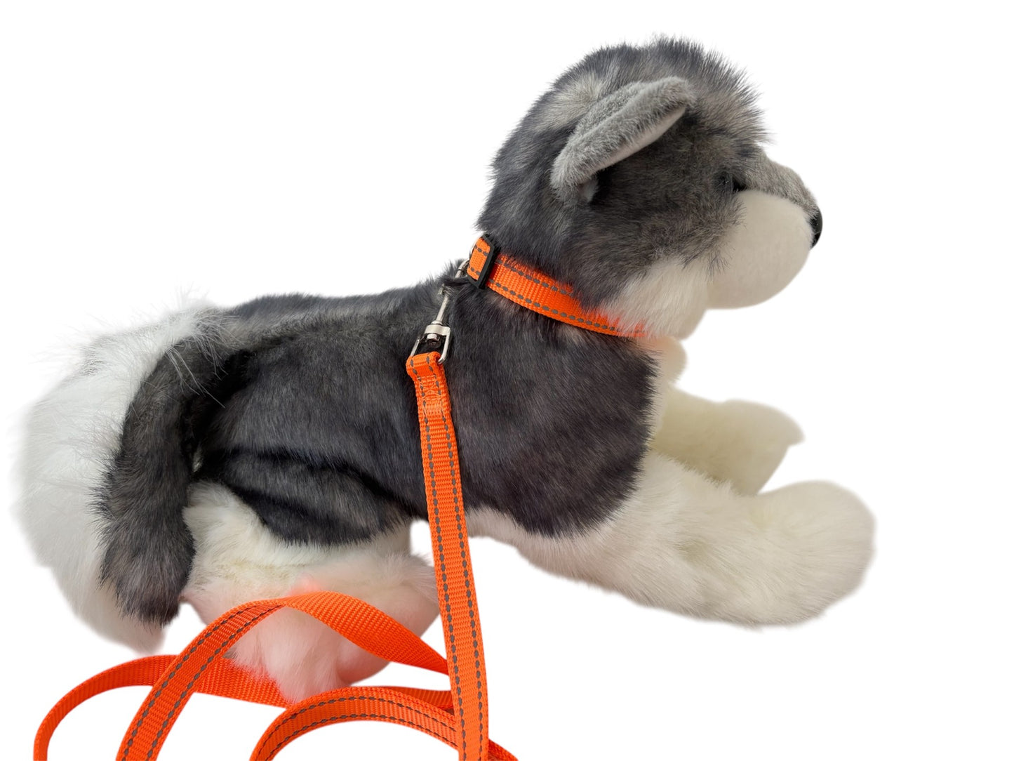 Collar and lead set (2 pce) - many colours