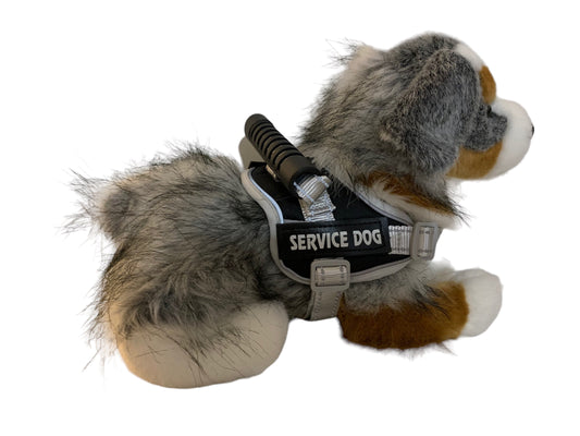 Douglas Dog Australian Dog Sinclair