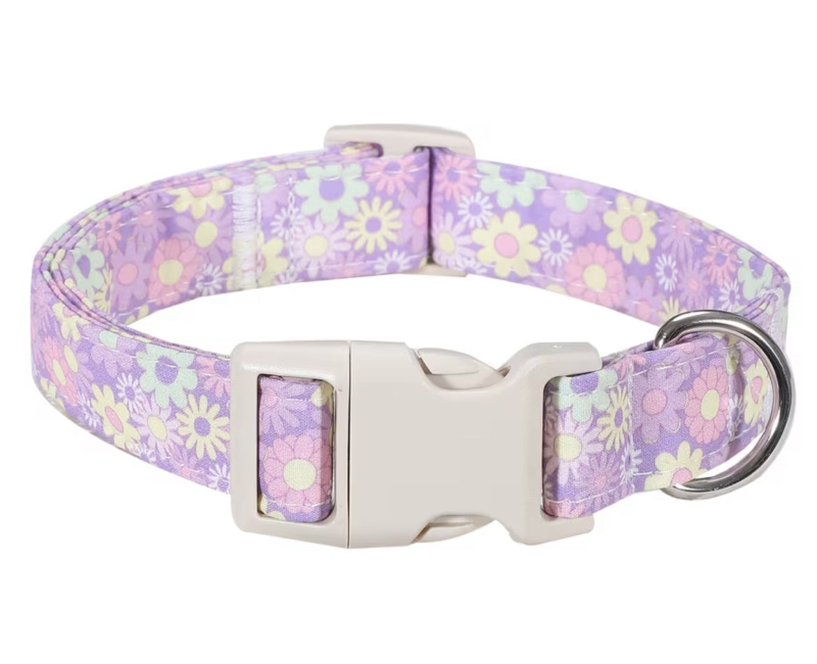 Themed collars