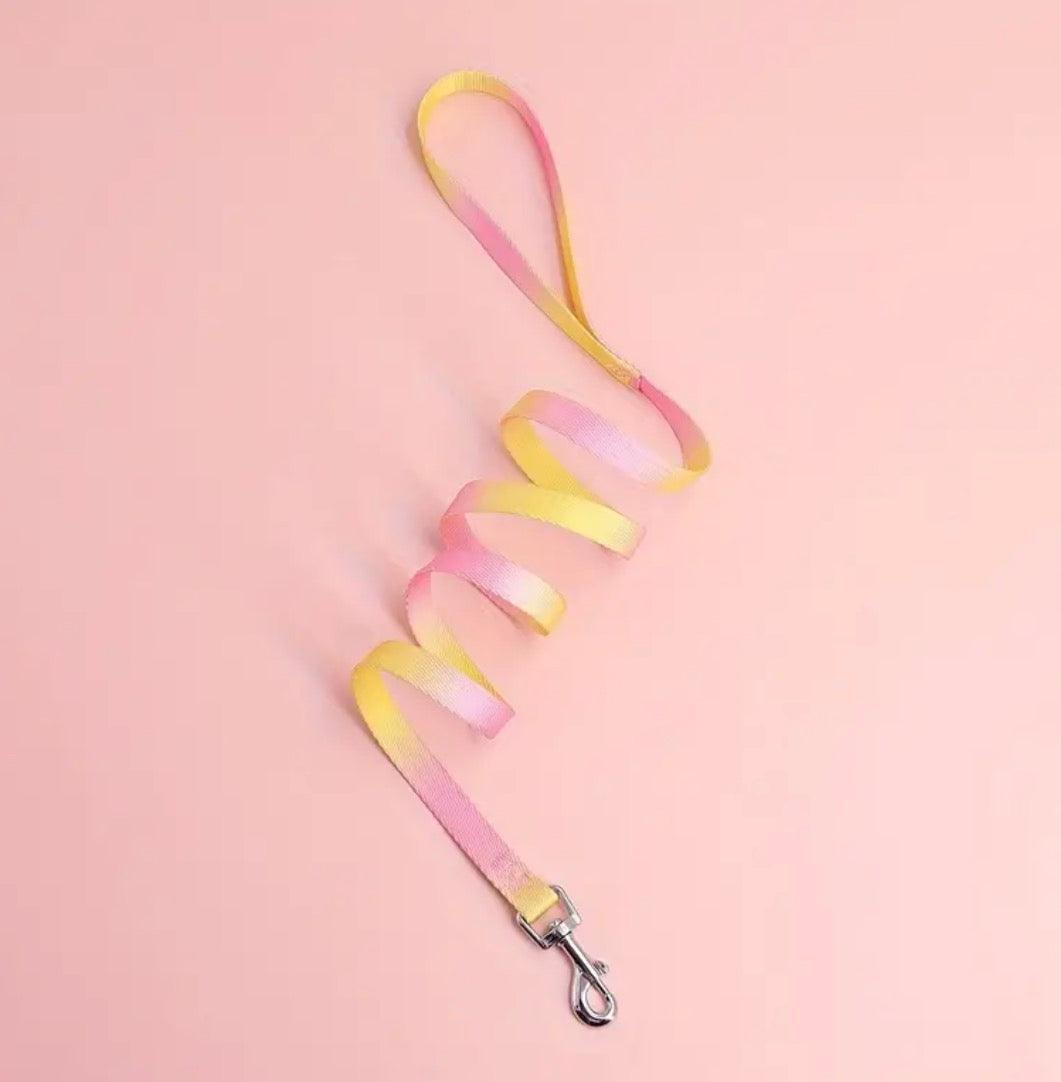 Lead / leash (multicoloured)