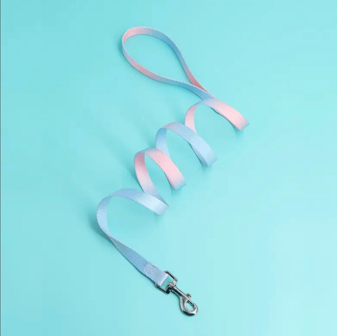 Lead / leash (multicoloured)