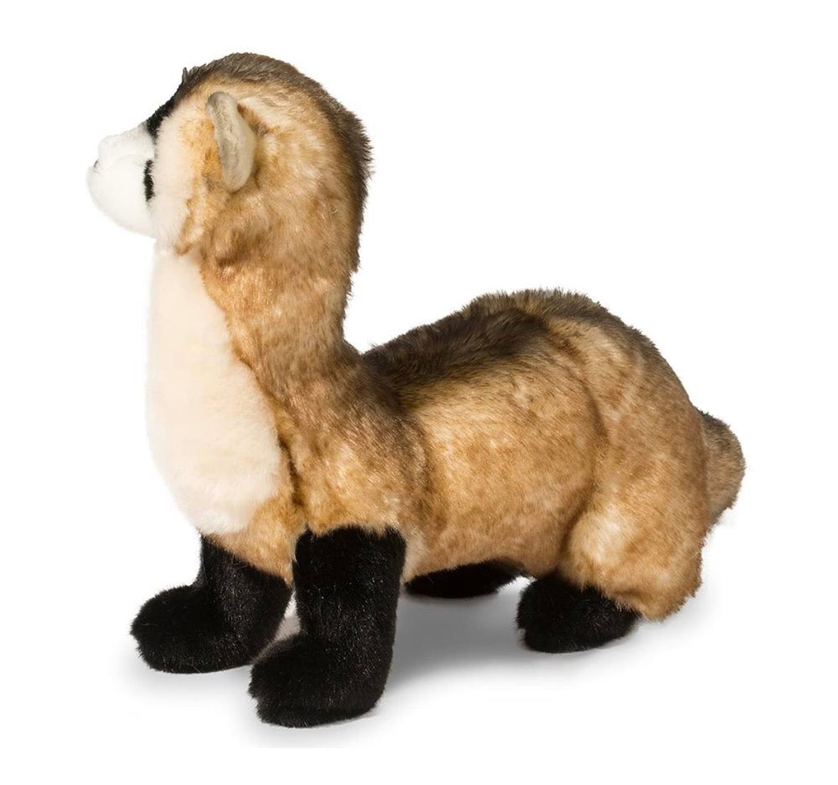 Vince Black Footed Ferret by Douglas