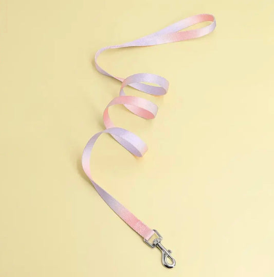 Lead / leash (multicoloured)