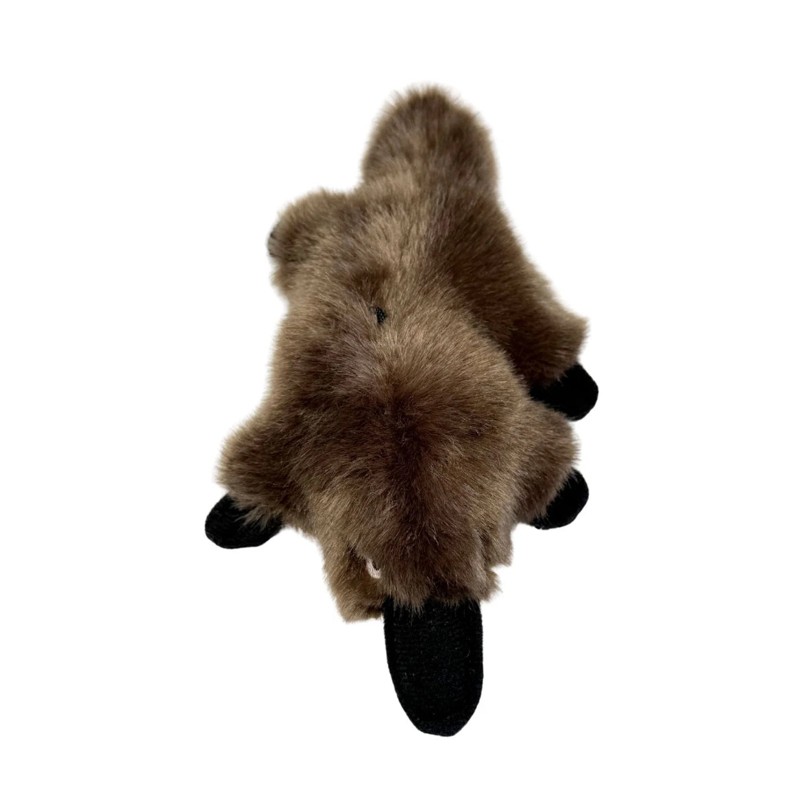 Mini platypus- 12cm
