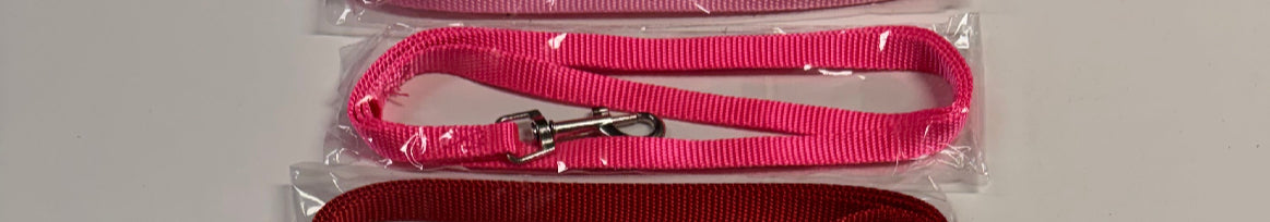 Dog Leash/ lead (skinnny)