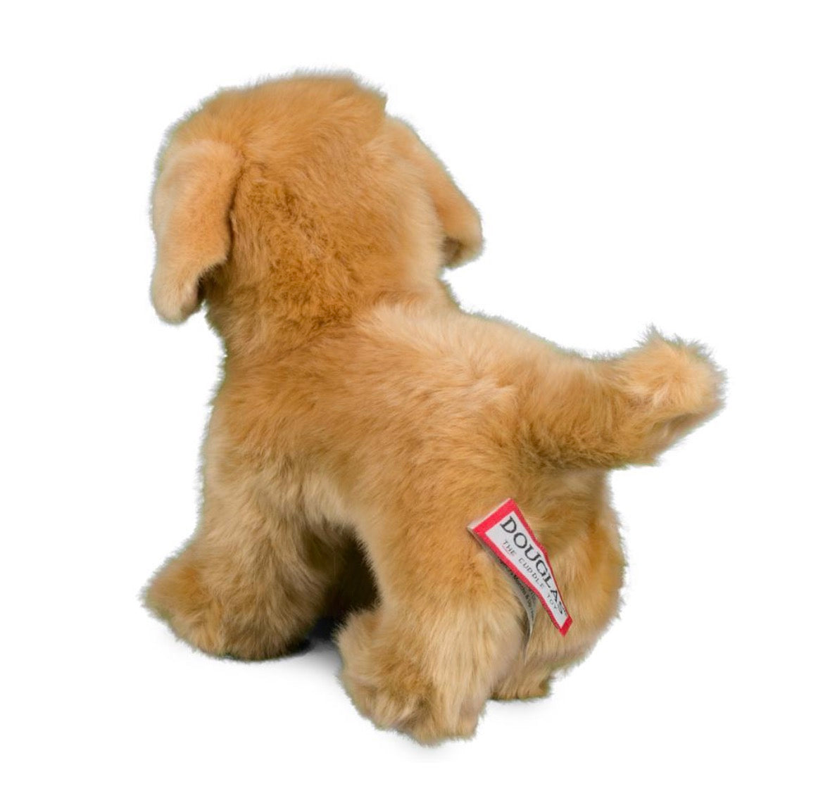 Chap Golden Retriever by Douglas