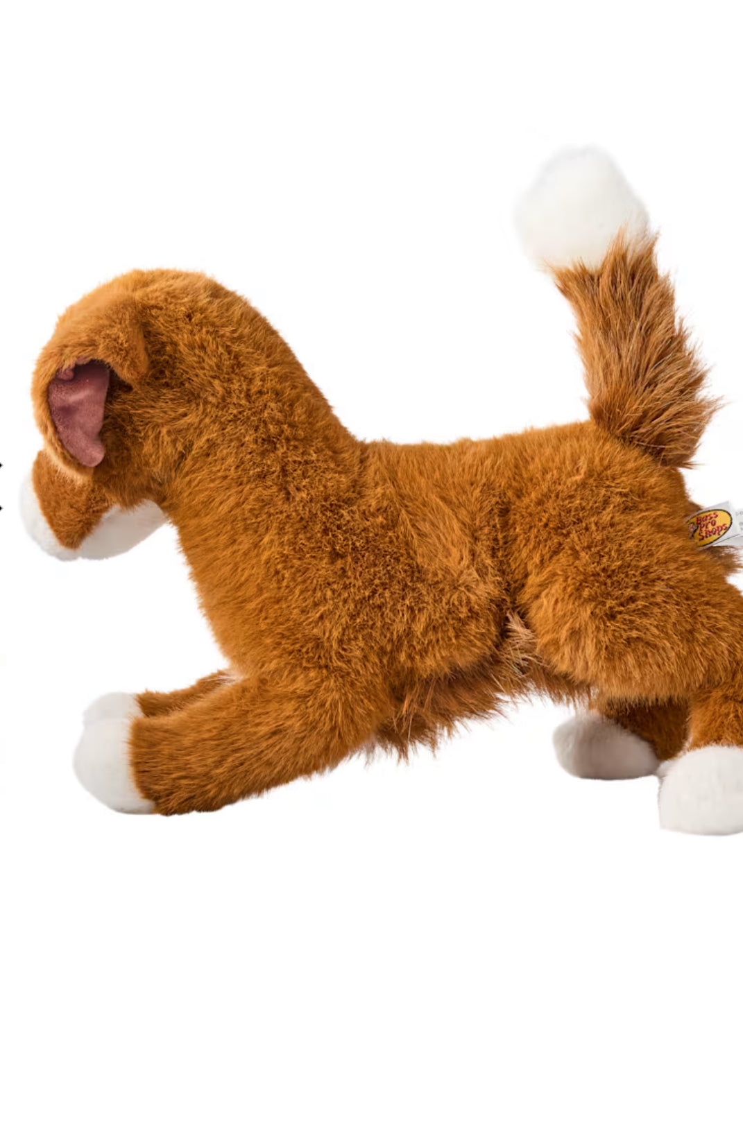 Duck Tolling Retriever (standing) by Bass Pro - arrives 10 October