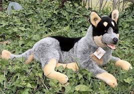 Bocchetta - Gallagher Cattle Dog Plush Toy 44cm