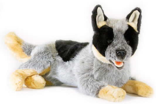 Bocchetta - Gallagher Cattle Dog Plush Toy 44cm