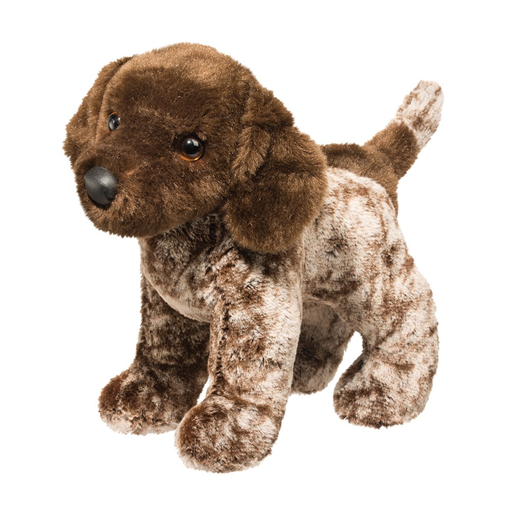Ivan German Pointer by Douglas (smaller ESSA)