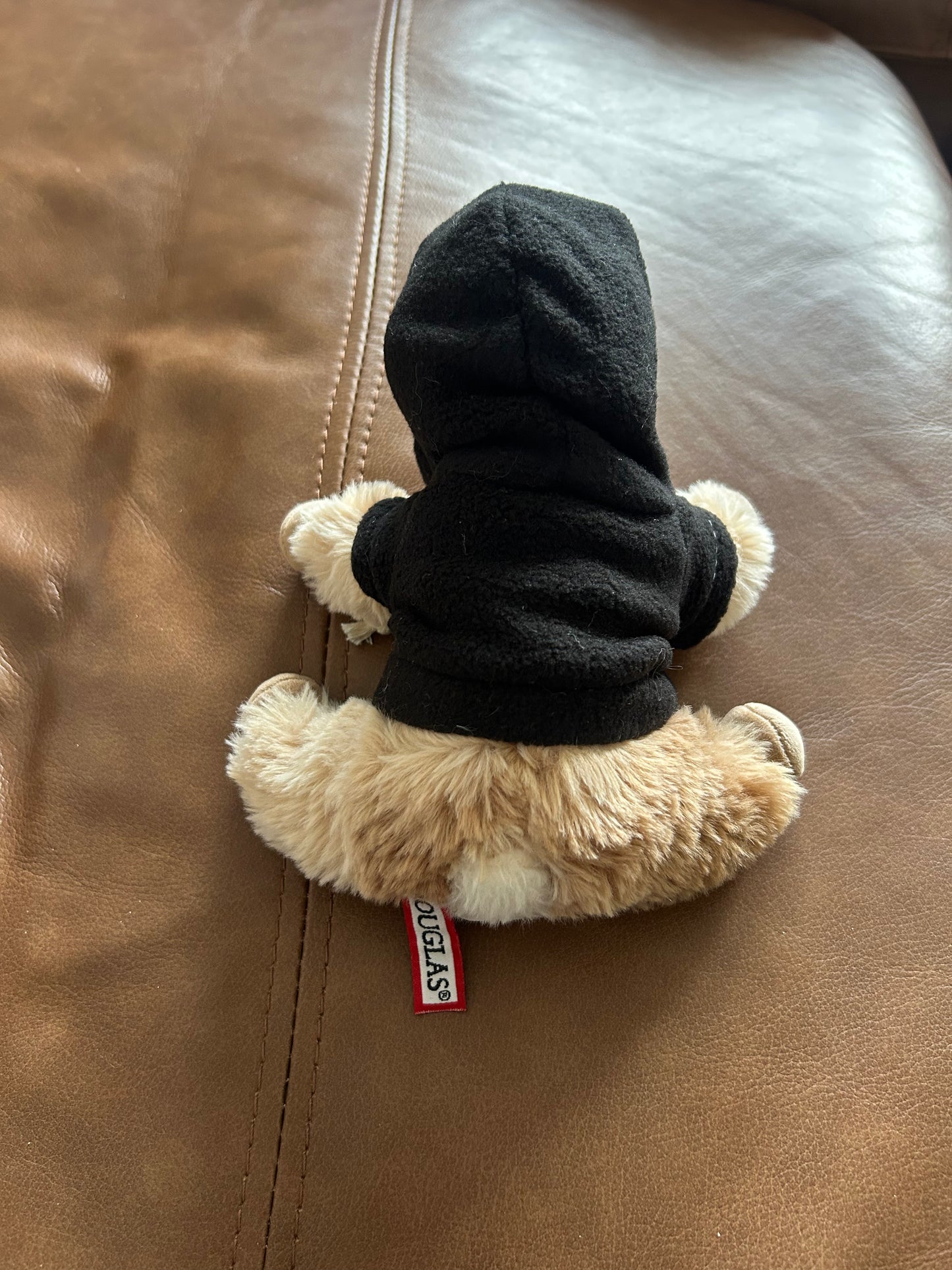 Hoodie for Mini’s