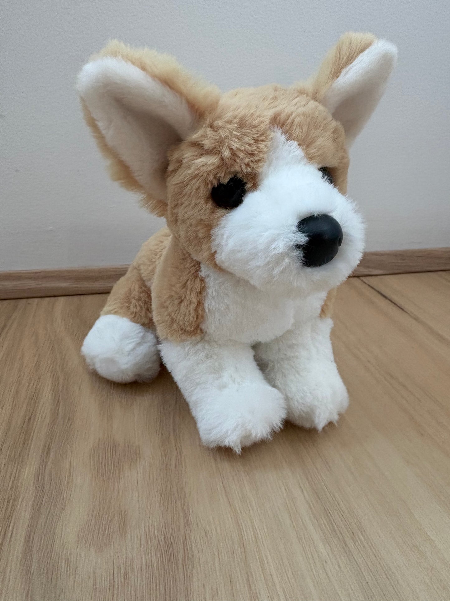 Lacey’s second hand dogs