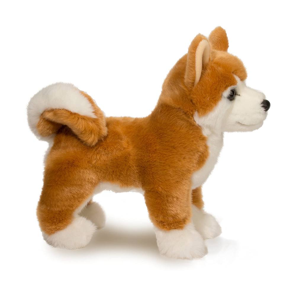 Dunham Shibu Inu
