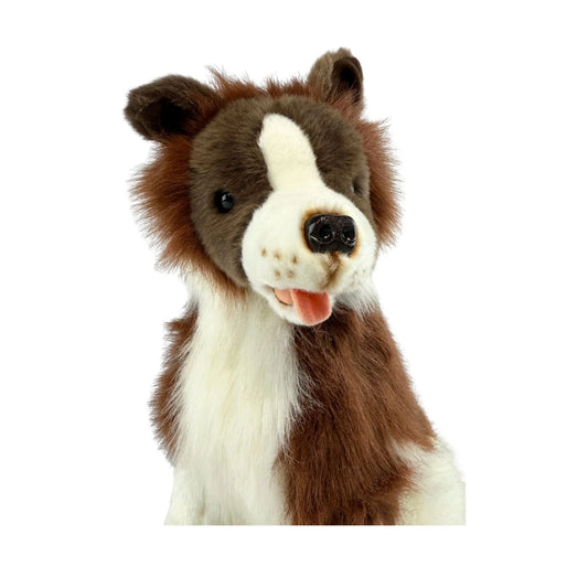 Brandy (Border Collie - Chocolate - 35cm sitting)