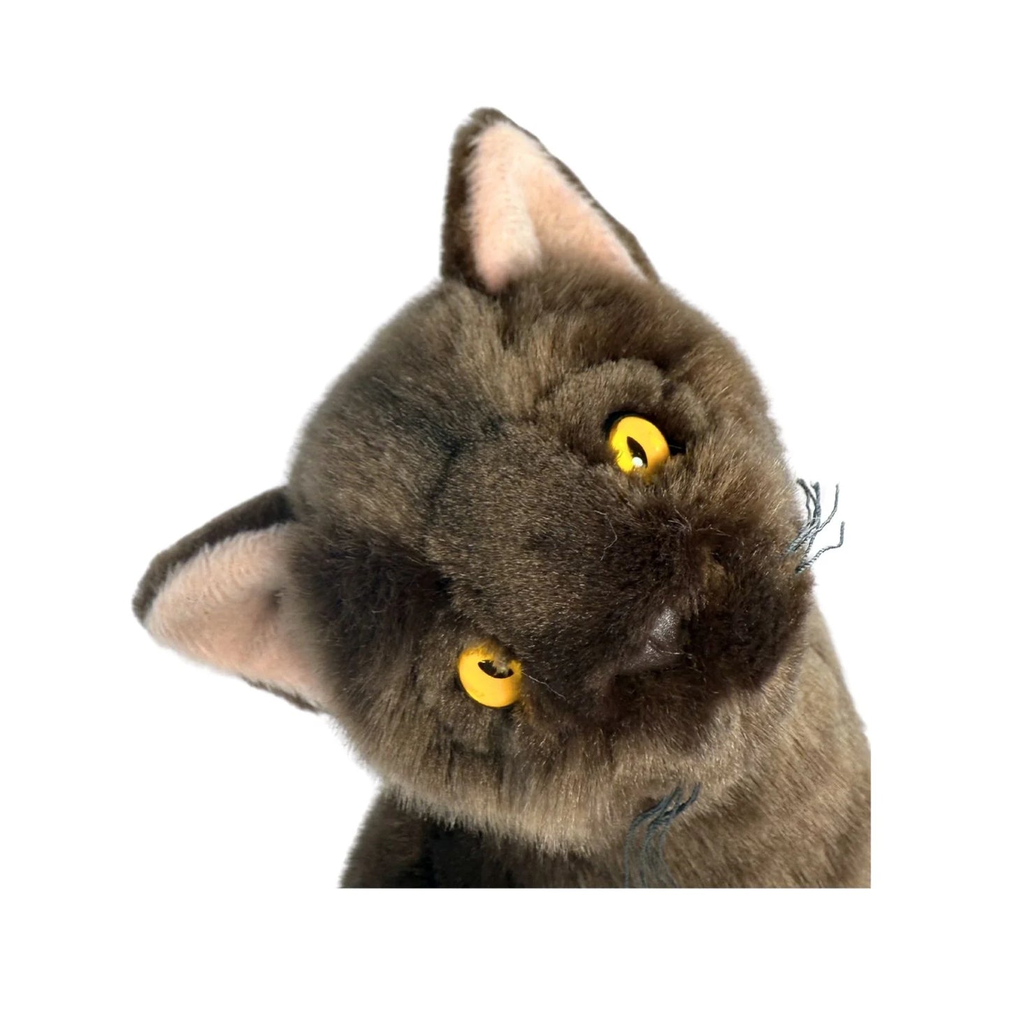 Nutmeg - Burmese Cat - 26cm Sitting, Chocolate Brown