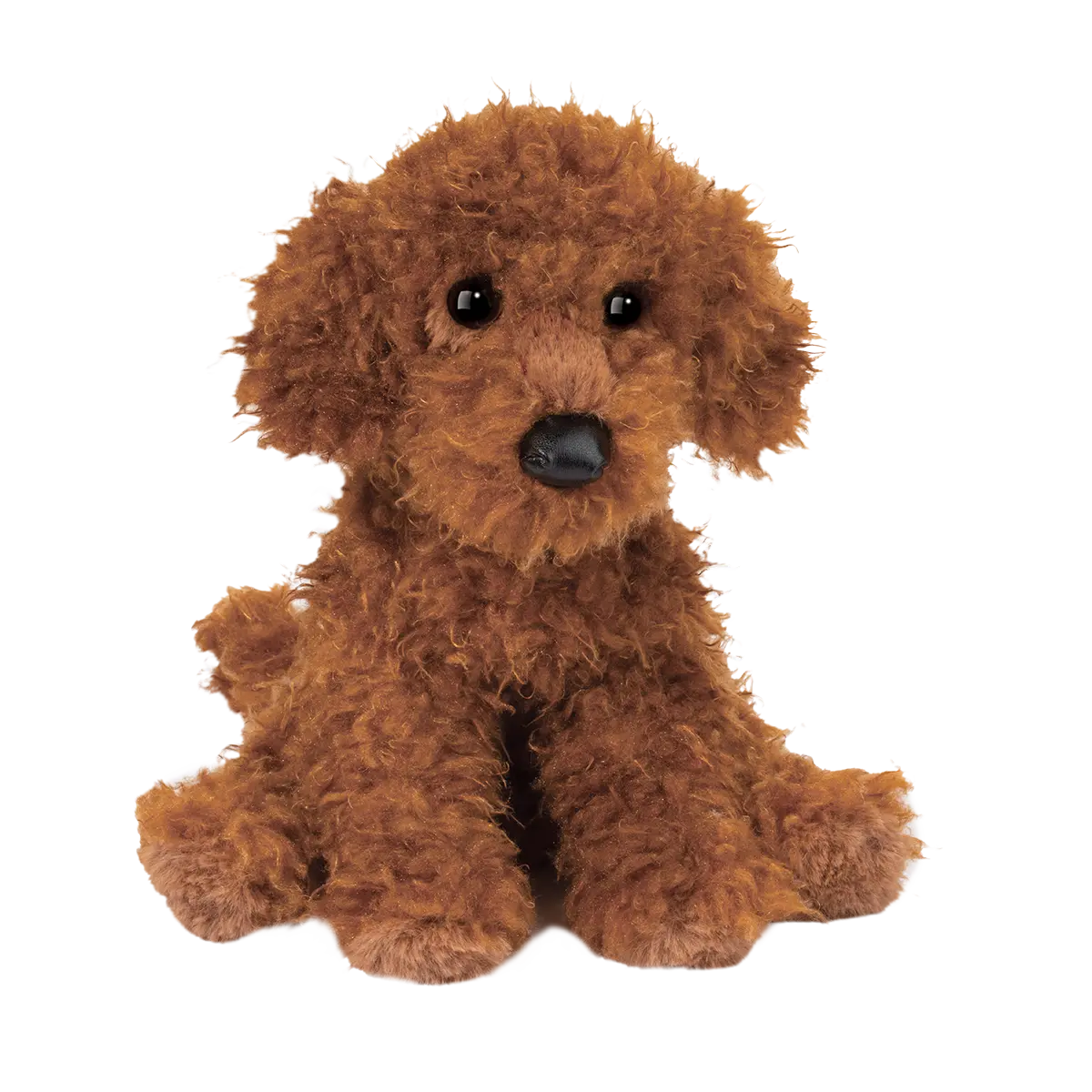 Ginger Miniature Poodle by Douglas