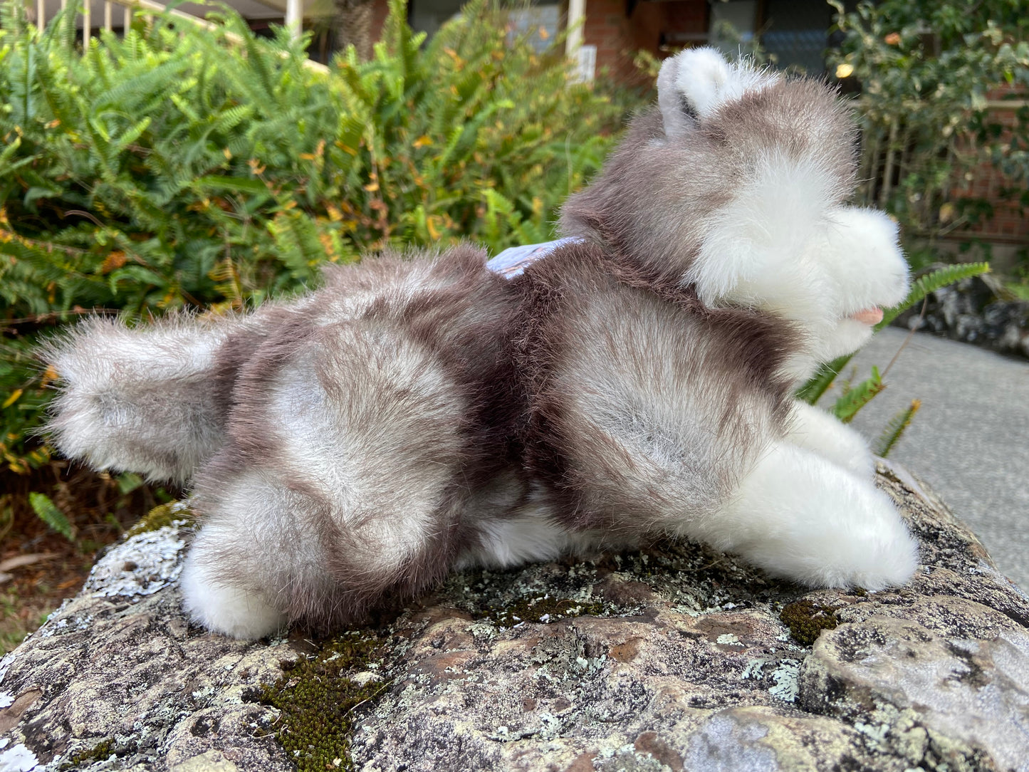 Marbles (Husky - 28cm floppy)