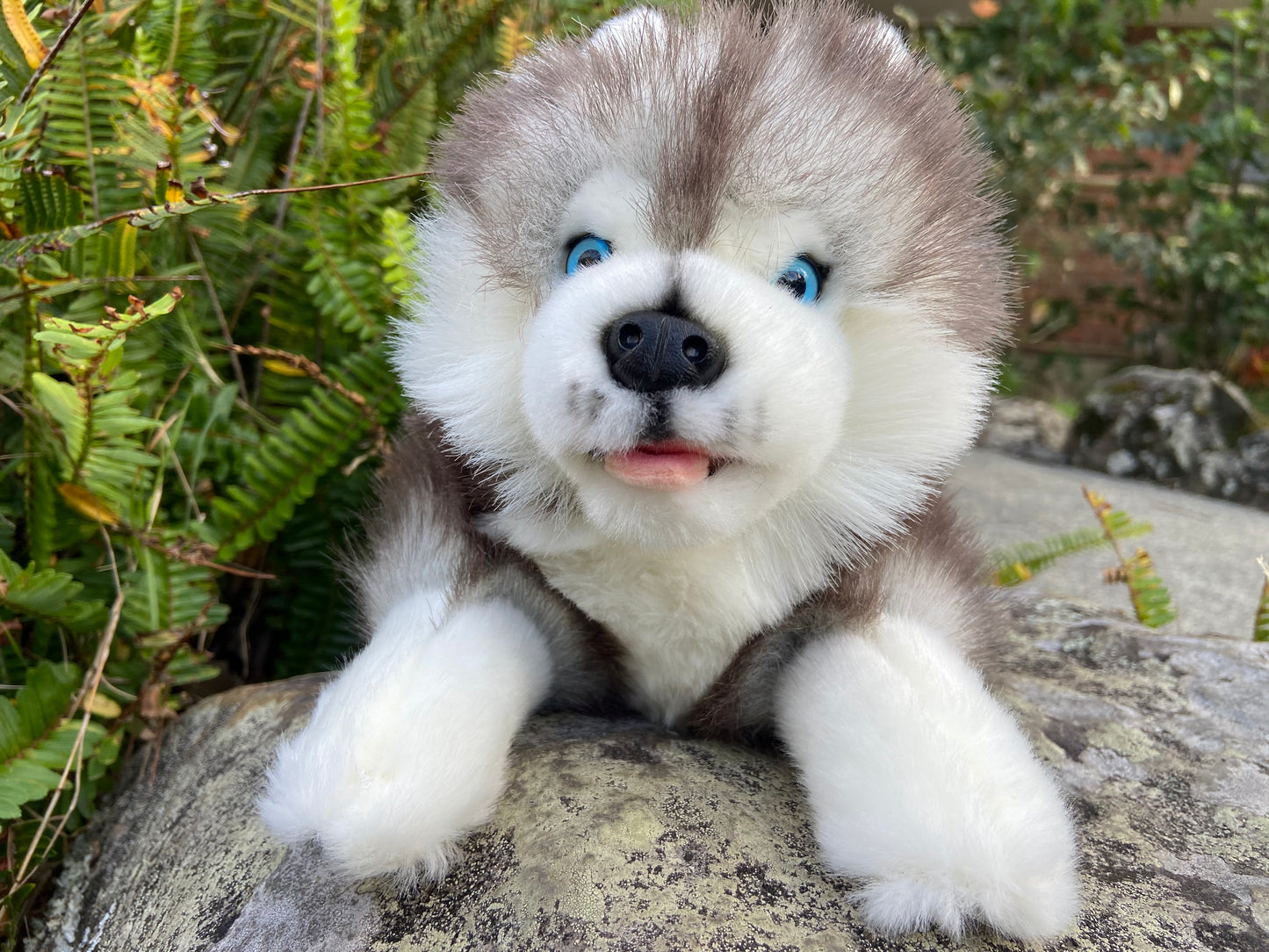 Marbles (Husky - 28cm floppy)