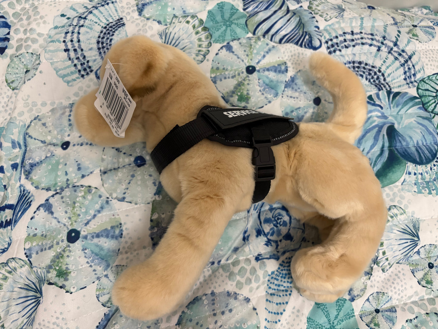 Baby Vest fits most ESSAs (including Douglas Dogs)