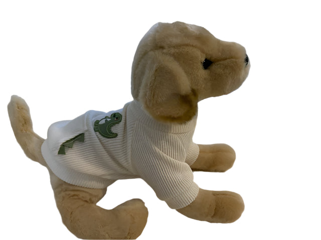 Dinosaur dog jumper