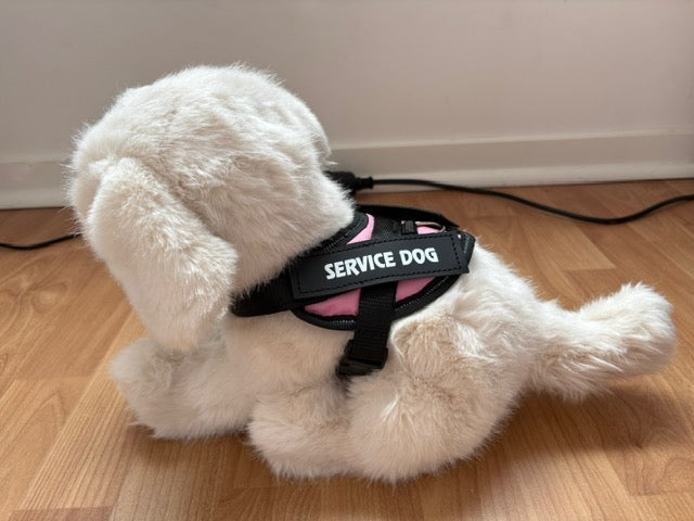 Baby Vest fits most ESSAs (including Douglas Dogs)