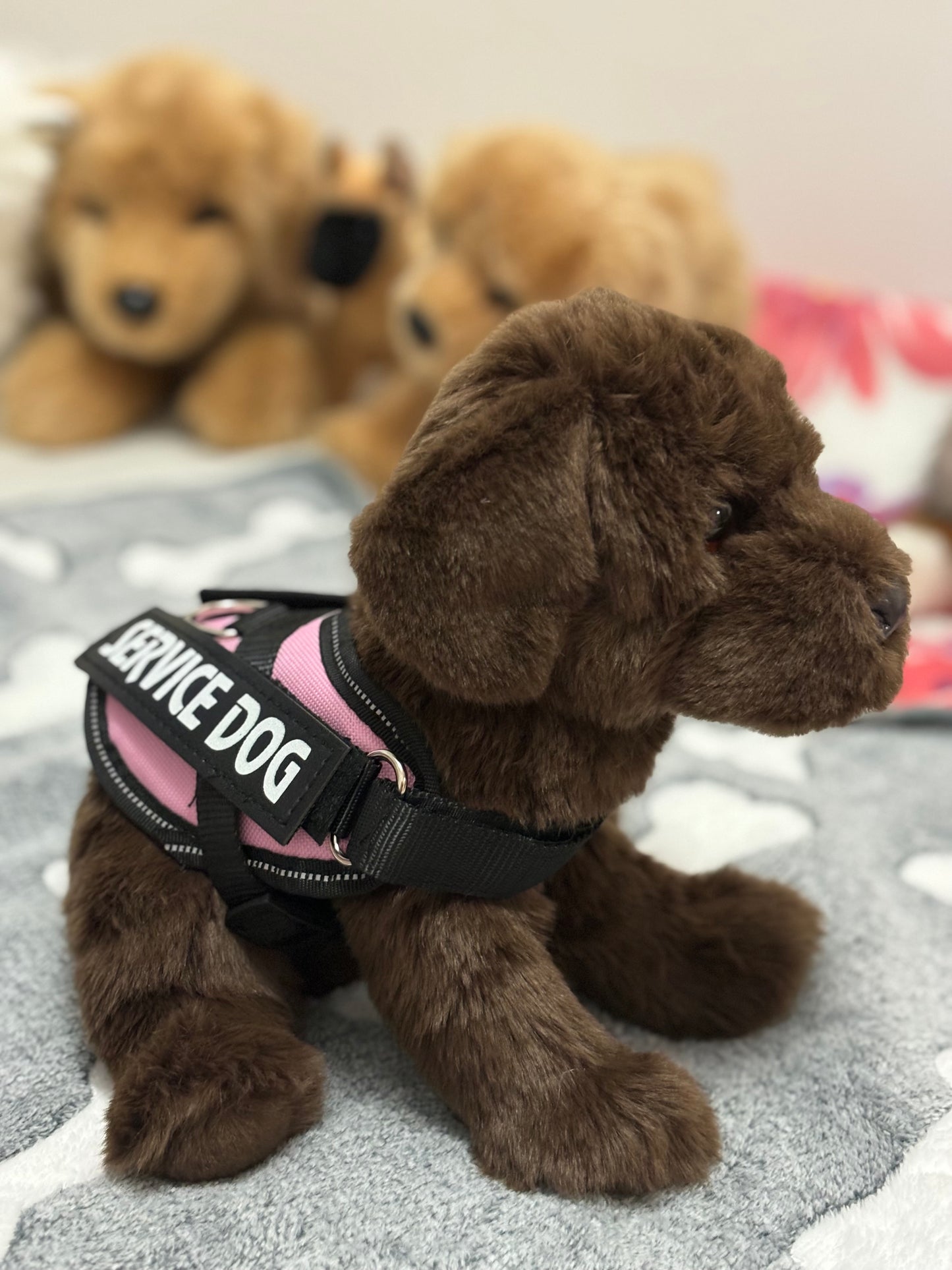 Baby Vest fits most ESSAs (including Douglas Dogs)