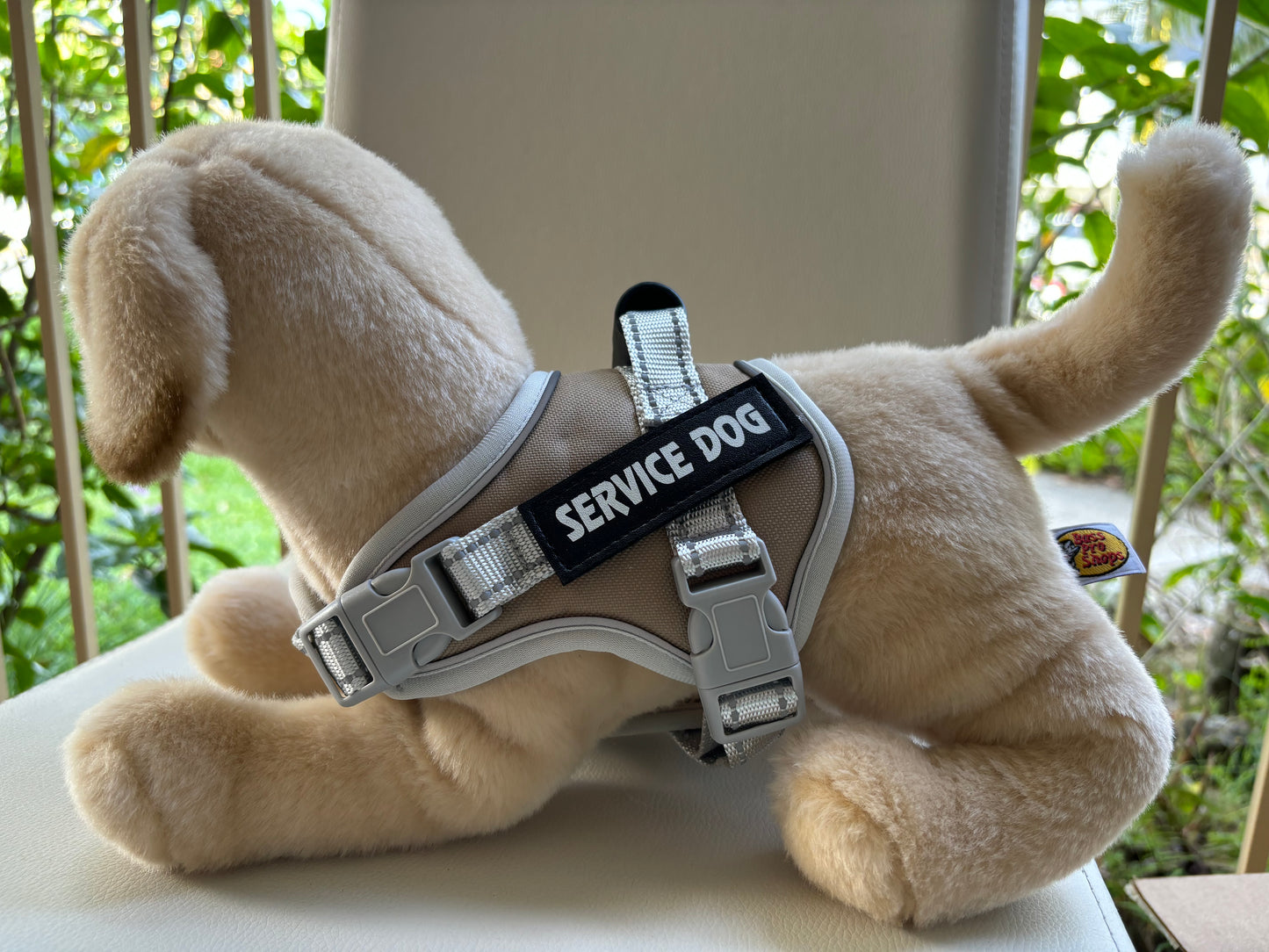 Service dog vest on Douglas Dog Mandy Labrador