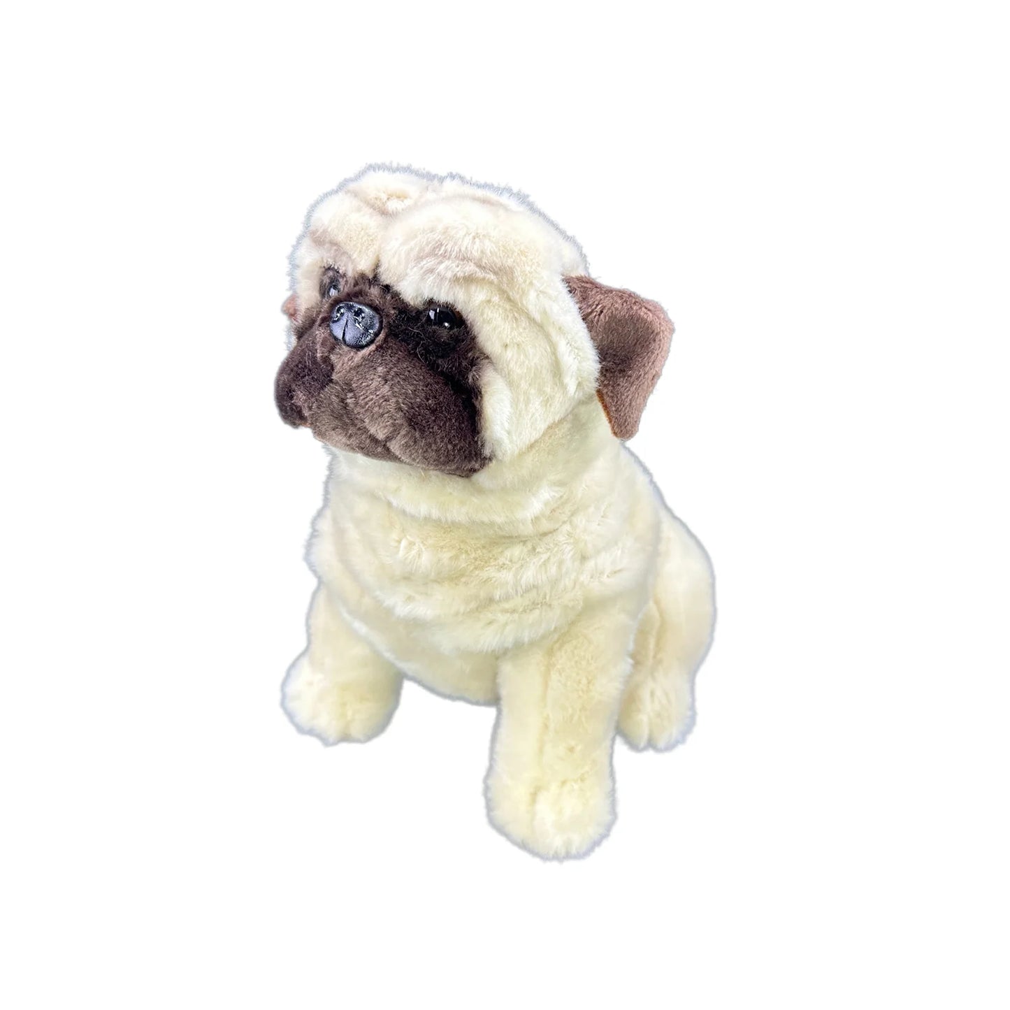 Carlotta (Pug - 28cm sitting)